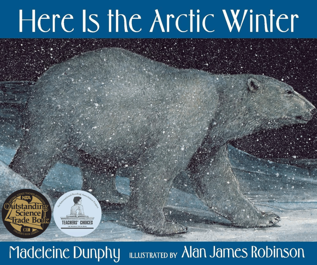 Here Is the Arctic Winter